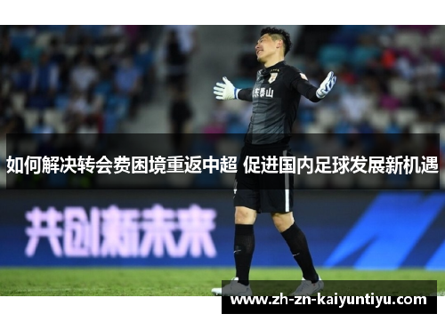 如何解决转会费困境重返中超 促进国内足球发展新机遇