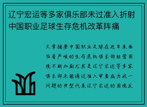 辽宁宏运等多家俱乐部未过准入折射中国职业足球生存危机改革阵痛 辽宁宏运等多家俱乐部未过准入折射中国职业足球生存危机改革阵痛