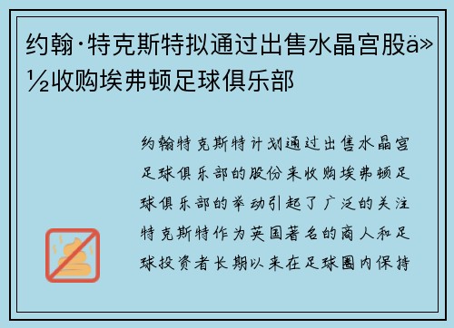 约翰·特克斯特拟通过出售水晶宫股份收购埃弗顿足球俱乐部